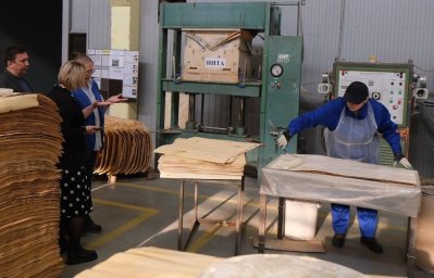 Красноярский производитель мебели сэкономил около миллиона рублей благодаря региональной программе по повышению производительности труда